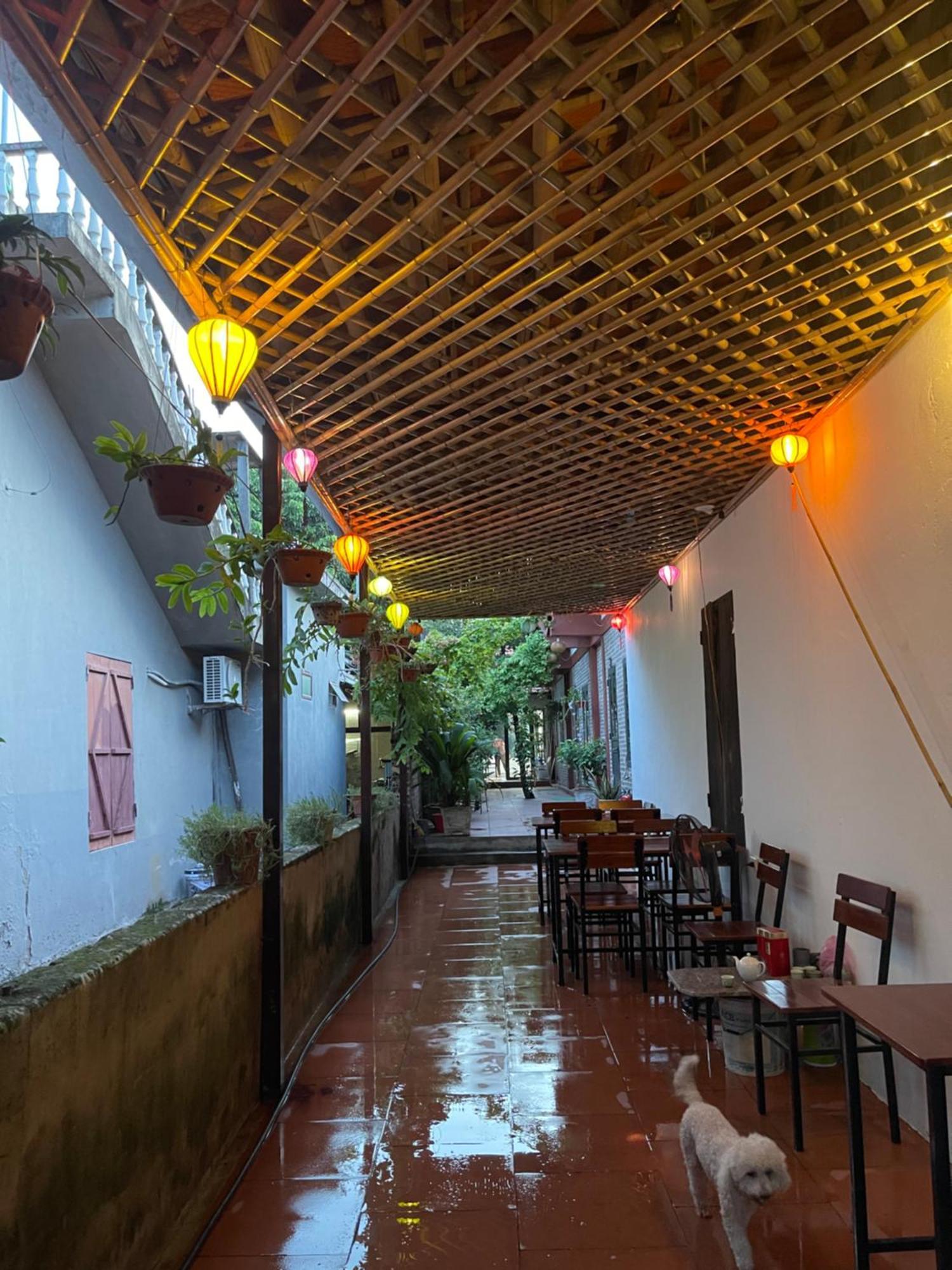 Thuy Xuyen Tam Coc Homestay Vu Lam Bagian luar foto
